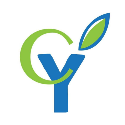 Connecting Youth Mentoring